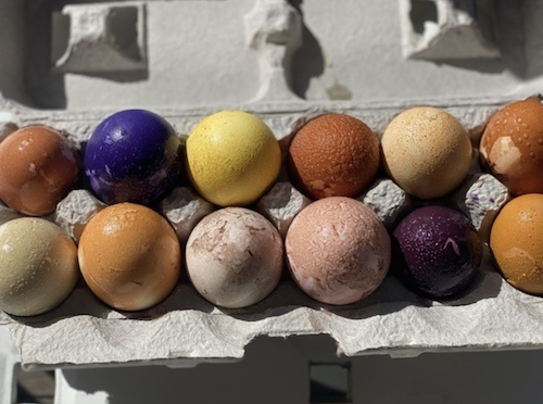 Why This Egg Color Was Removed?