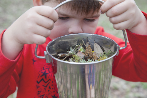 Make Stone Soup Tinkergarten Outdoor Activities Where Kids Learn   Copy Of Winter46 