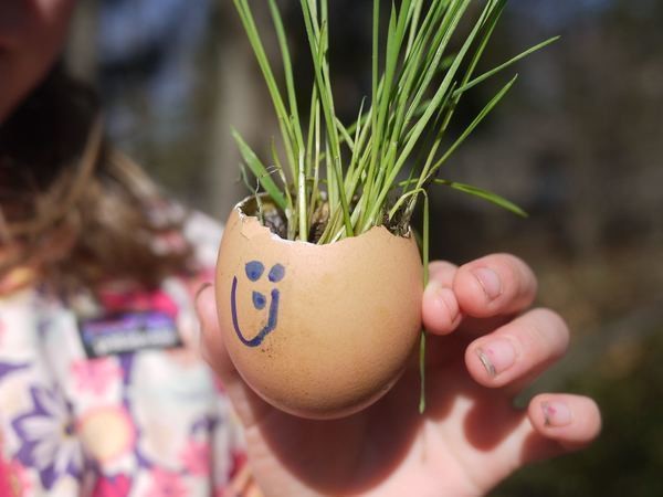 EGG SHELL PLANTERS - NC Egg Association