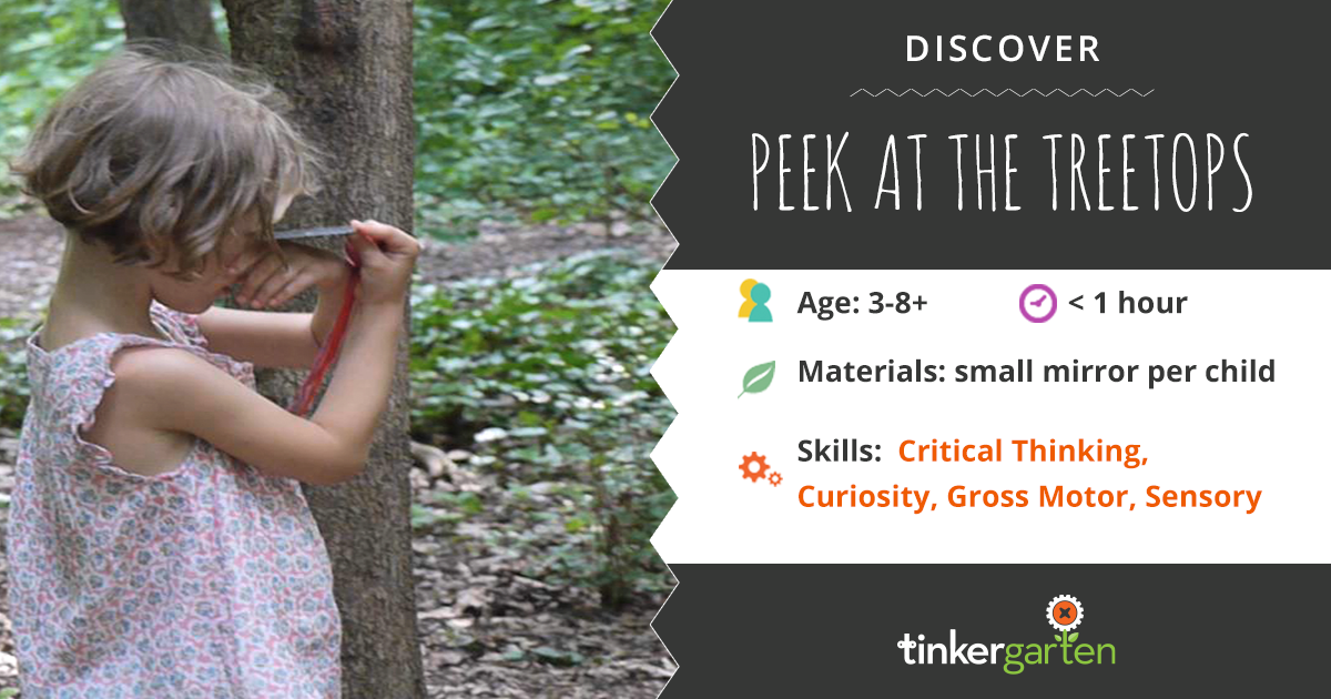 Tree Top Adventure Activity For Kids Tinkergarten