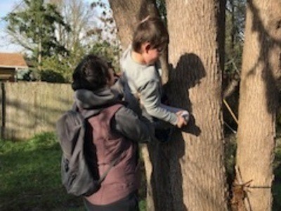 A Wish Tree For Me
