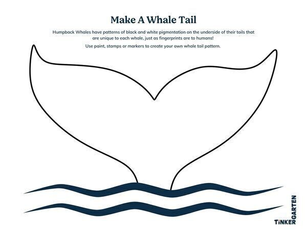 Cropped landscape lg 600 whale tails
