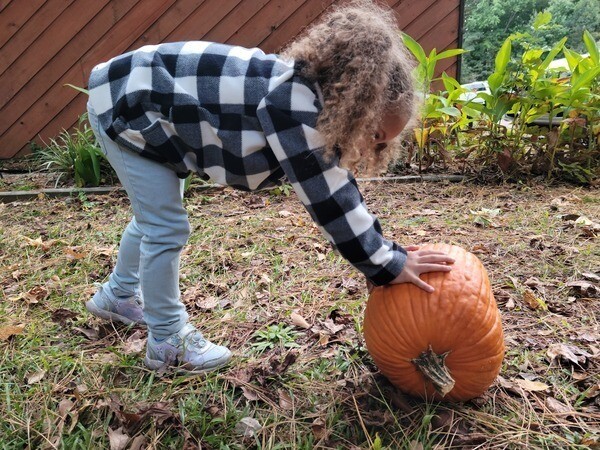 Thanksgiving Games for All - Tinkergarten outdoor activities where kids  learn through play