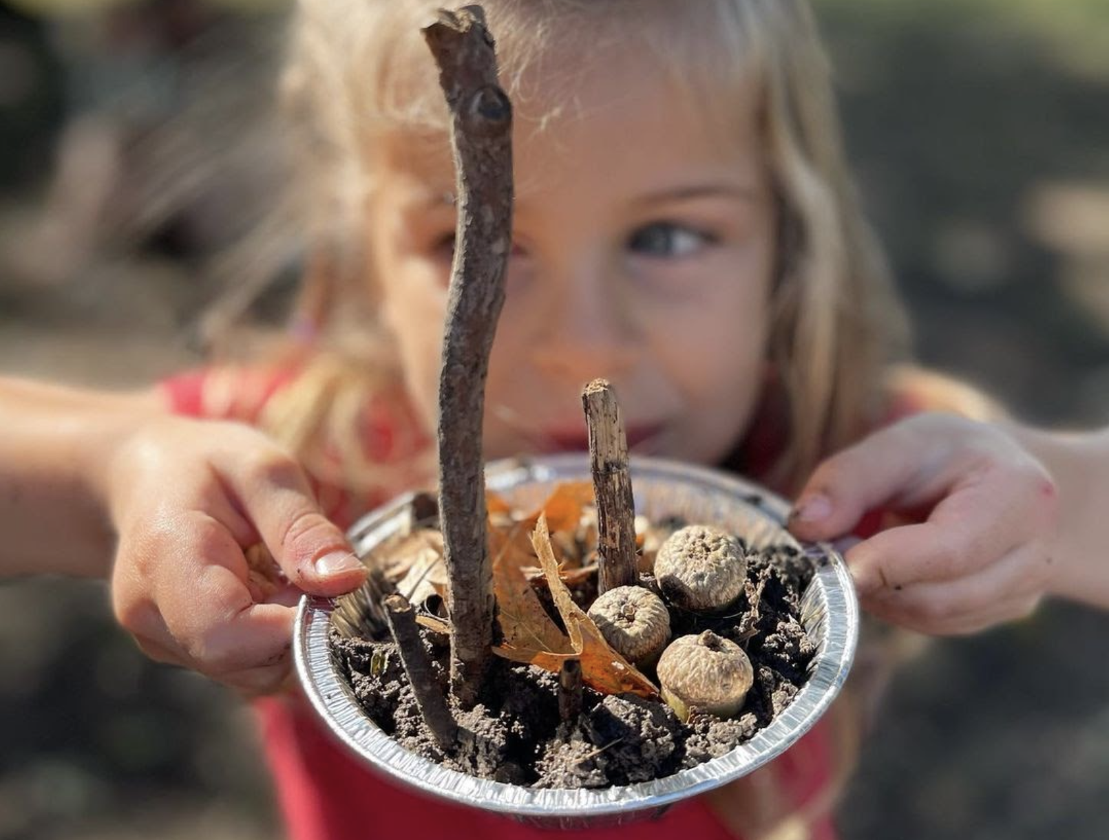 Give to Friends - Tinkergarten outdoor activities where kids learn ...