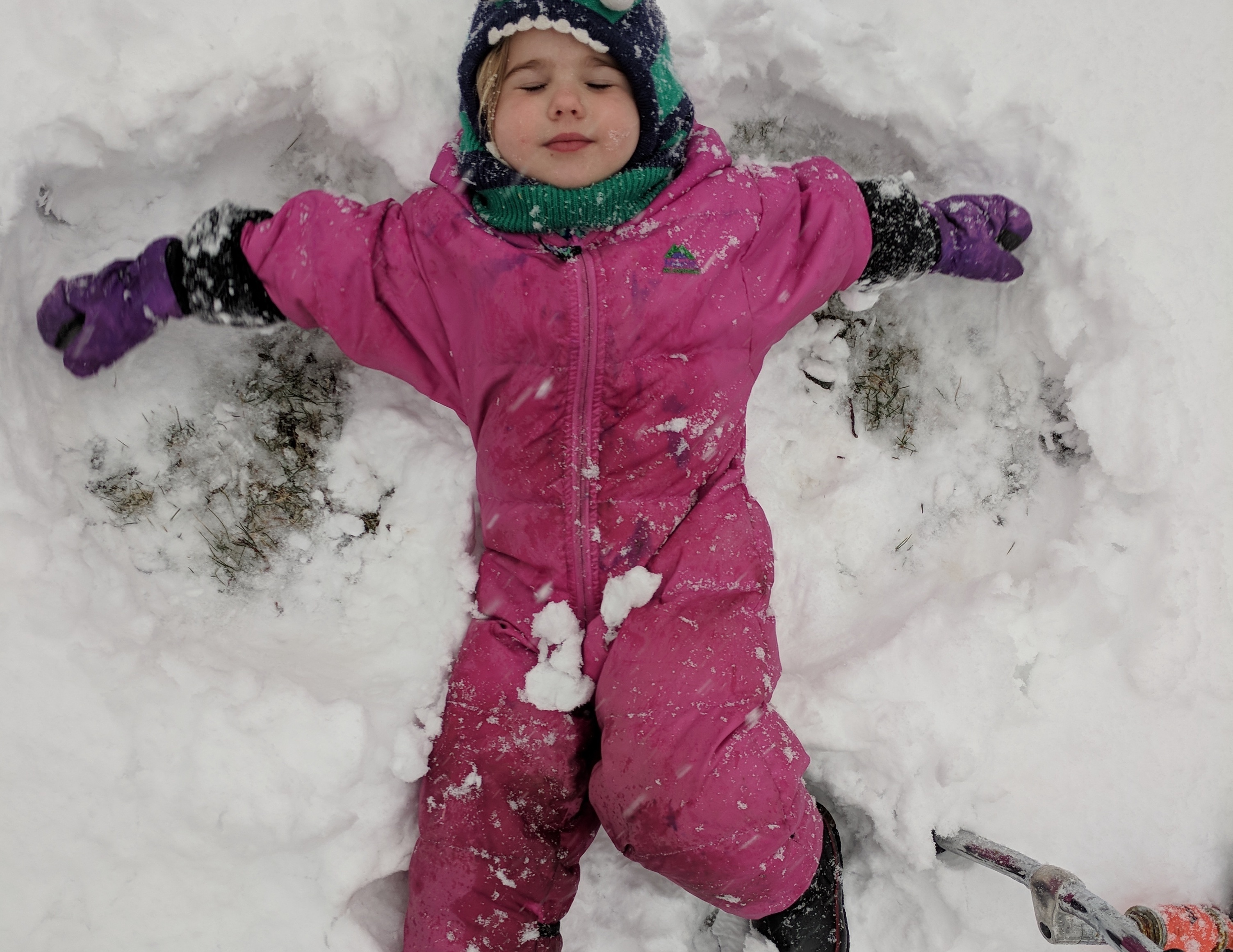 Play Like Polar Bears - Tinkergarten outdoor activities where kids ...