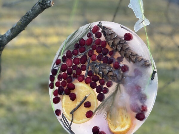 Featured Image