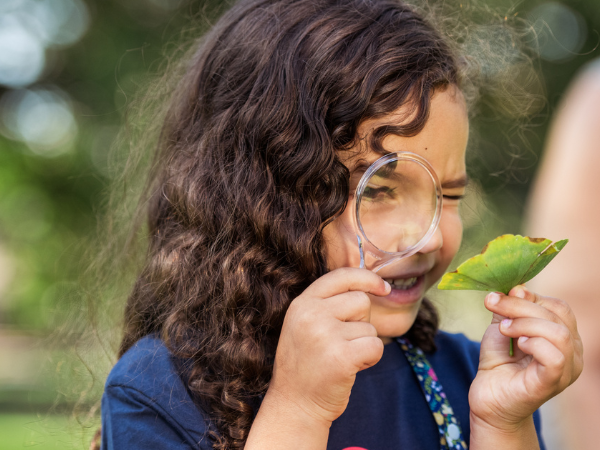 Sensory Walk - Tinkergarten outdoor activities where kids learn through ...