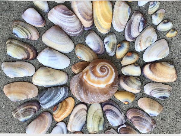 Featured Image